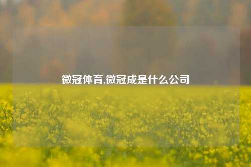 微冠体育,微冠成是什么公司