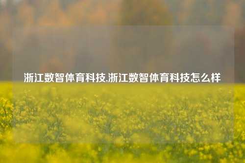 浙江数智体育科技,浙江数智体育科技怎么样