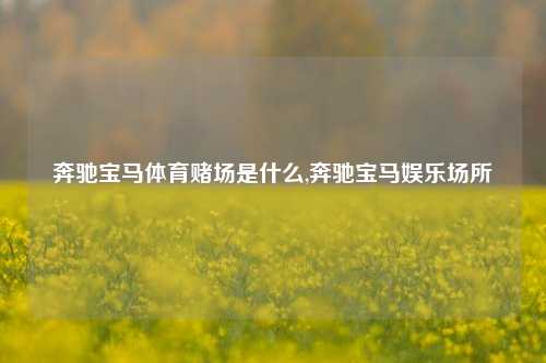 奔驰宝马体育赌场是什么,奔驰宝马娱乐场所