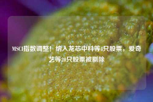 MSCI指数调整！纳入龙芯中科等4只股票，爱奇艺等20只股票被剔除