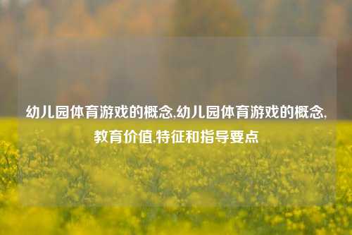 幼儿园体育游戏的概念,幼儿园体育游戏的概念,教育价值,特征和指导要点