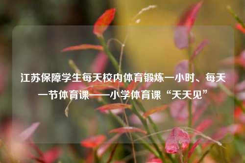 江苏保障学生每天校内体育锻炼一小时、每天一节体育课——小学体育课“天天见”