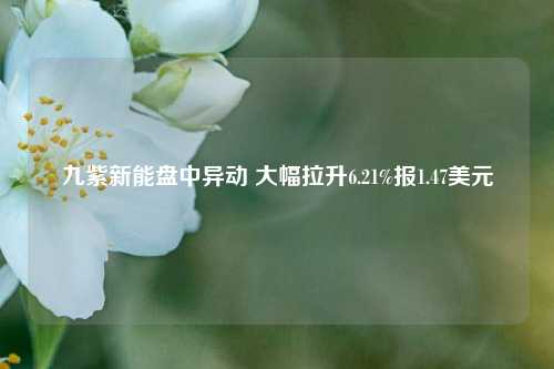 九紫新能盘中异动 大幅拉升6.21%报1.47美元