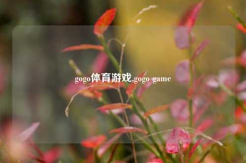 gogo体育游戏,gogo game