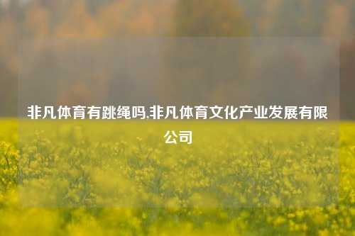 非凡体育有跳绳吗,非凡体育文化产业发展有限公司