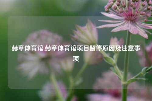 赫章体育馆,赫章体育馆项目暂停原因及注意事项