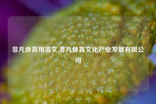 非凡体育用英文,非凡体育文化产业发展有限公司