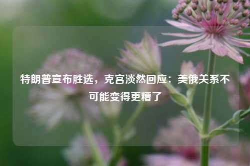 特朗普宣布胜选，克宫淡然回应：美俄关系不可能变得更糟了