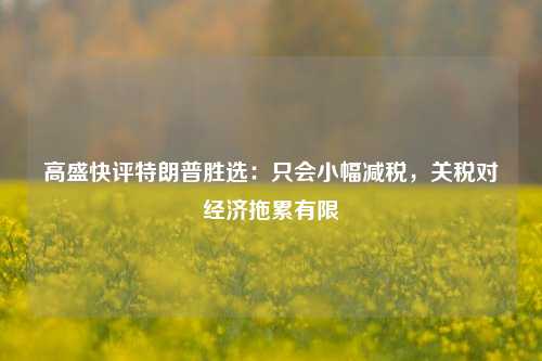 高盛快评特朗普胜选：只会小幅减税，关税对经济拖累有限