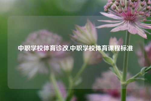 中职学校体育诊改,中职学校体育课程标准