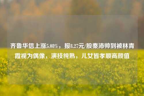 齐鲁华信上涨5.08%，报8.27元/股秦沛帅到被林青霞视为偶像，演技纯熟，儿女皆孝顺高颜值