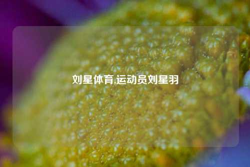 刘星体育,运动员刘星羽