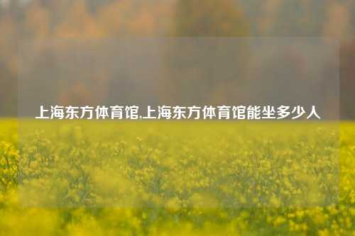 上海东方体育馆,上海东方体育馆能坐多少人