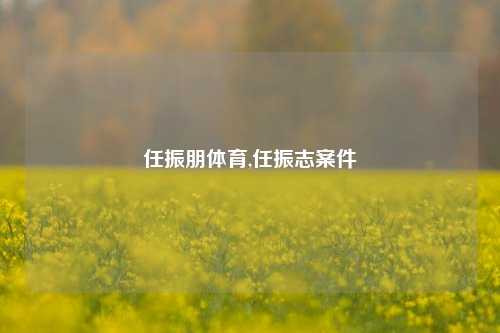 任振朋体育,任振志案件