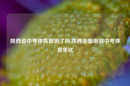 陕西省中考体育取消了吗,陕西全面取消中考体育免试