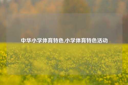 中华小学体育特色,小学体育特色活动