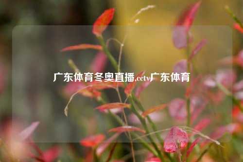 广东体育冬奥直播,cctv广东体育