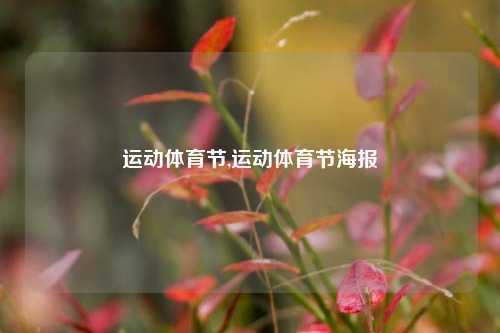 运动体育节,运动体育节海报