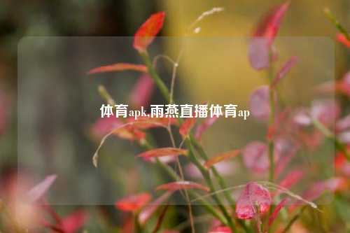 体育apk,雨燕直播体育ap