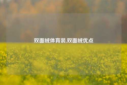 双面绒体育装,双面绒优点