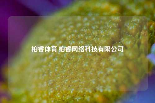 柏睿体育,柏睿网络科技有限公司