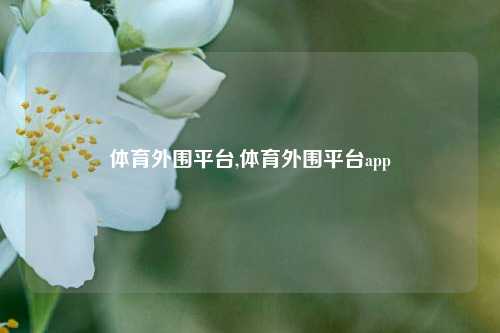 体育外围平台,体育外围平台app