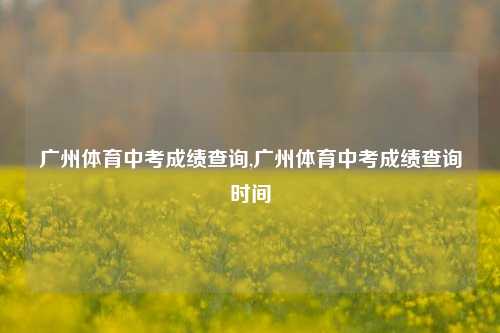 广州体育中考成绩查询,广州体育中考成绩查询时间