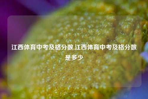 江西体育中考及格分数,江西体育中考及格分数是多少