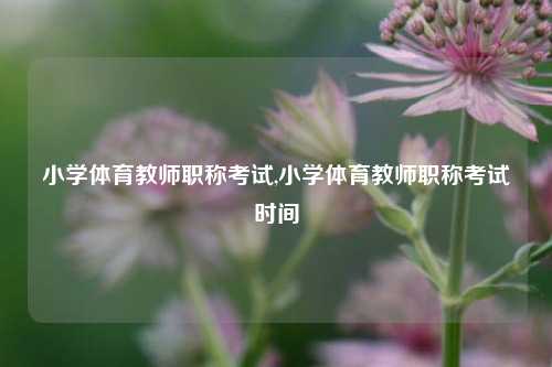 小学体育教师职称考试,小学体育教师职称考试时间