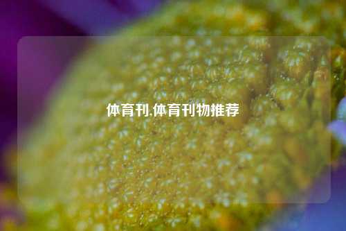 体育刊,体育刊物推荐