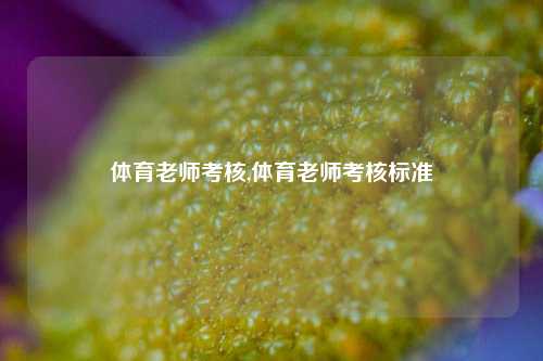 体育老师考核,体育老师考核标准