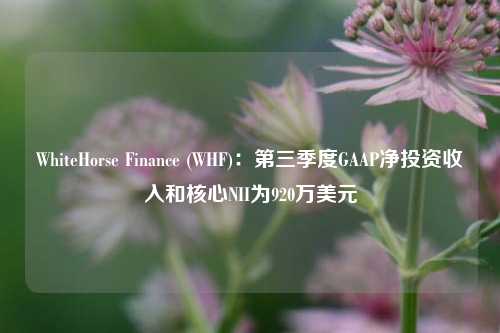 WhiteHorse Finance (WHF)：第三季度GAAP净投资收入和核心NII为920万美元