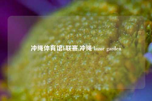 冲绳体育馆b联赛,冲绳 lazor garden