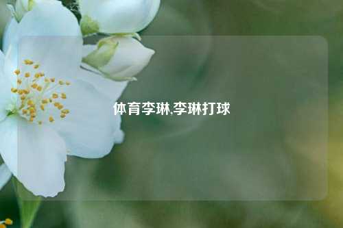 体育李琳,李琳打球