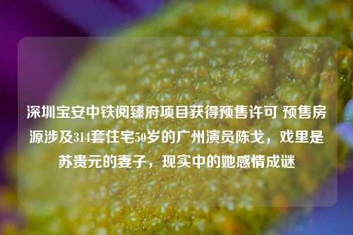 深圳宝安中铁阅臻府项目获得预售许可 预售房源涉及314套住宅50岁的广州演员陈戈，戏里是苏贵元的妻子，现实中的她感情成谜