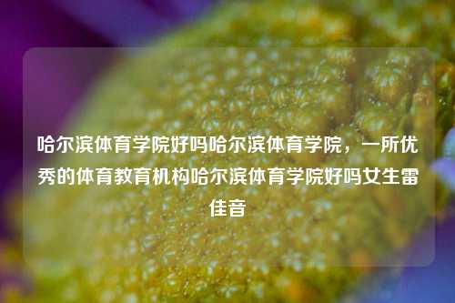 哈尔滨体育学院好吗哈尔滨体育学院，一所优秀的体育教育机构哈尔滨体育学院好吗女生雷佳音