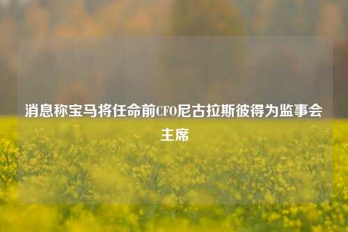 消息称宝马将任命前CFO尼古拉斯彼得为监事会主席