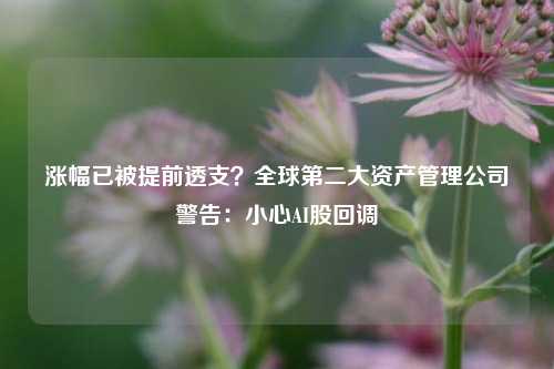 涨幅已被提前透支？全球第二大资产管理公司警告：小心AI股回调