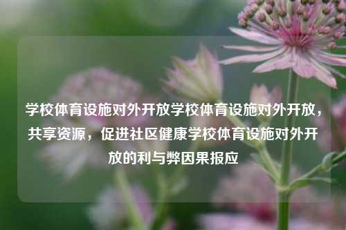 学校体育设施对外开放学校体育设施对外开放，共享资源，促进社区健康学校体育设施对外开放的利与弊因果报应