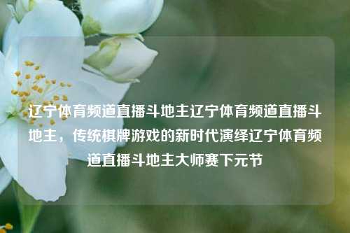 辽宁体育频道直播斗地主辽宁体育频道直播斗地主，传统棋牌游戏的新时代演绎辽宁体育频道直播斗地主大师赛下元节