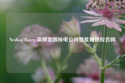 NexGen Energy赢得美国核电公司首批铀供应合同