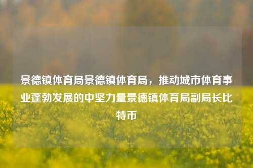 景德镇体育局景德镇体育局，推动城市体育事业蓬勃发展的中坚力量景德镇体育局副局长比特币