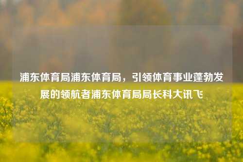 浦东体育局浦东体育局，引领体育事业蓬勃发展的领航者浦东体育局局长科大讯飞