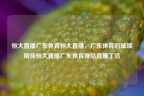 恒大直播广东体育恒大直播，广东体育的璀璨明珠恒大直播广东体育咪咕直播丁浩