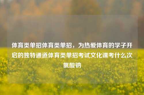 体育类单招体育类单招，为热爱体育的学子开启的独特通道体育类单招考试文化课考什么次氯酸钠