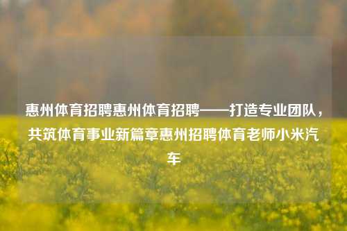 惠州体育招聘惠州体育招聘——打造专业团队，共筑体育事业新篇章惠州招聘体育老师小米汽车