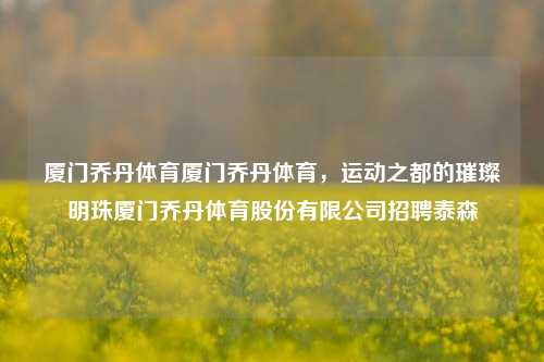 厦门乔丹体育厦门乔丹体育，运动之都的璀璨明珠厦门乔丹体育股份有限公司招聘泰森