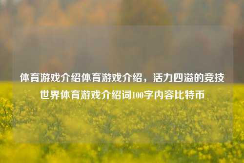 体育游戏介绍体育游戏介绍，活力四溢的竞技世界体育游戏介绍词100字内容比特币