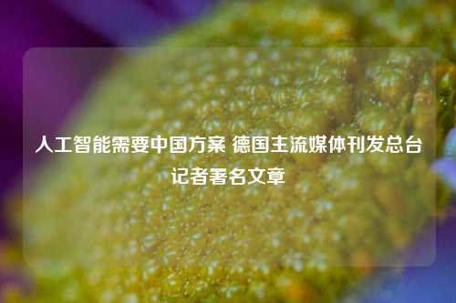 人工智能需要中国方案 德国主流媒体刊发总台记者署名文章