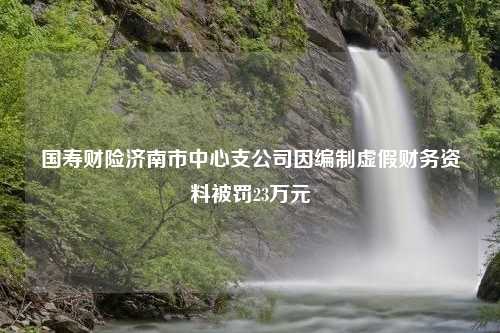 国寿财险济南市中心支公司因编制虚假财务资料被罚23万元